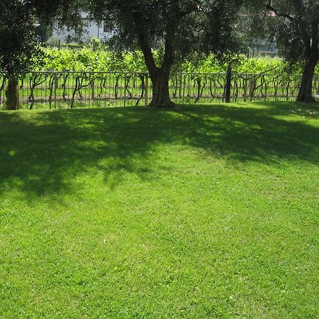Casa Carla Aparthotel Torbole Sul Garda Buitenkant foto