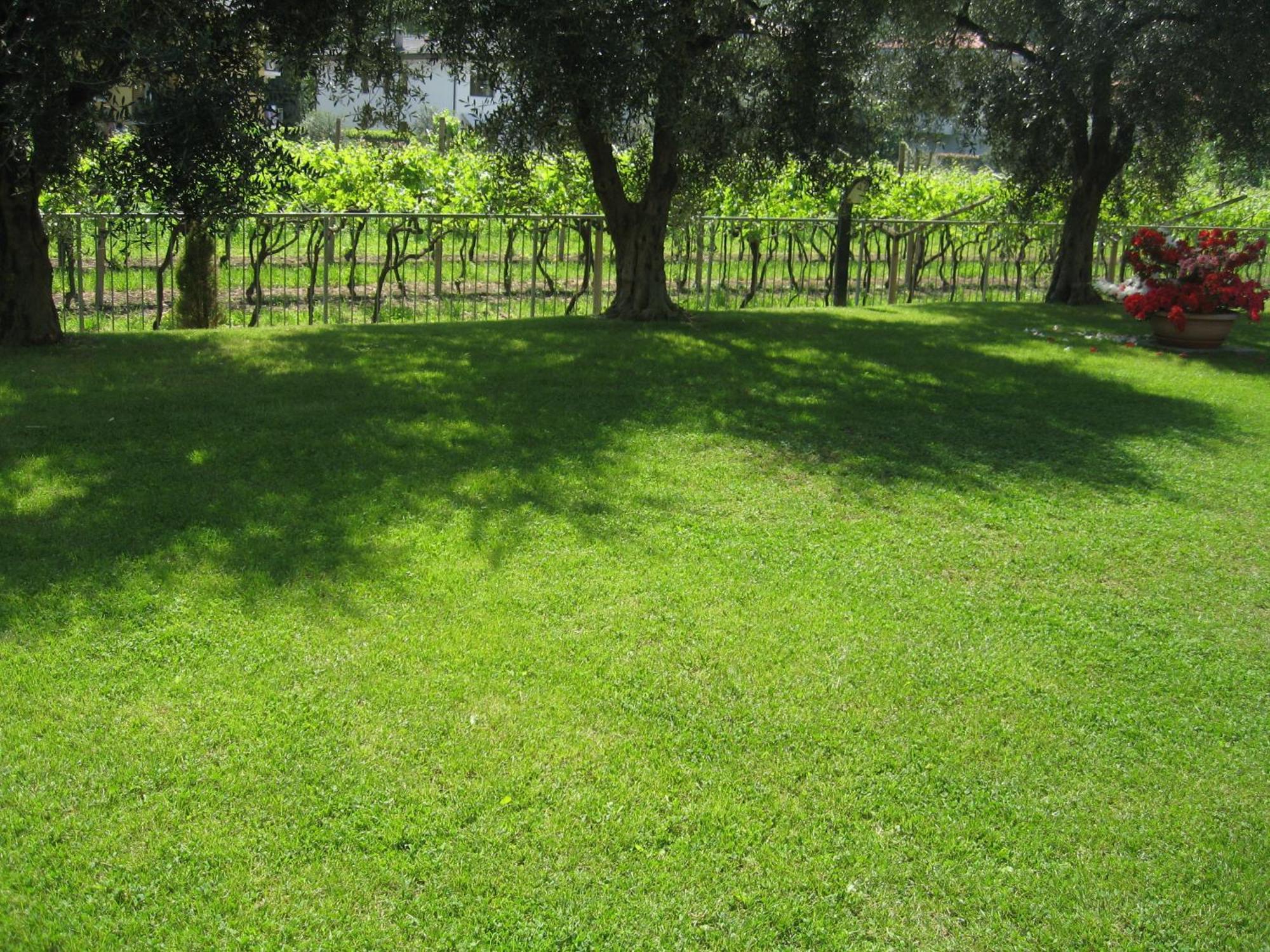 Casa Carla Aparthotel Torbole Sul Garda Buitenkant foto